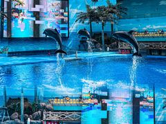 -海合安成都极地海洋公园
