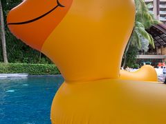 -三亚湾海居铂尔曼度假酒店