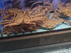 -阿伟海鲜楼·福建菜(延寿店)