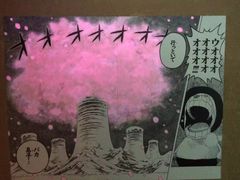 -东京塔海贼王主题公园