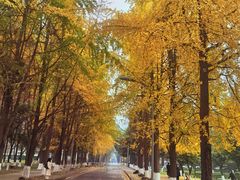 -四川大学(望江校区)