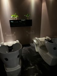 -史云逊养发护发