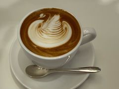 -BLACKSWAN黑天鹅(新希望店)