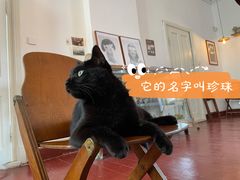 -春风十里咖啡馆