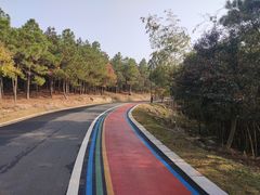 -南京市无想山景区