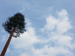 -南京金牛湖风景区