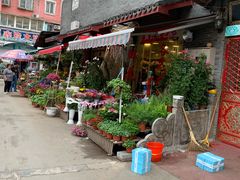 -平吉花卉市场
