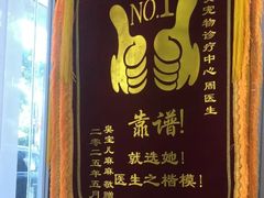 -美美宠物诊疗中心·异宠·骨科(滨江东信分院)