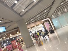 -日上免税店(三径路t3店)
