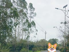 -蔡家宅