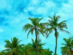 -白沙门生态公园