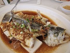 -顺峰(南二环店)