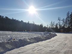 -五营红松林海景区