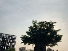 -董永七仙女文化园
