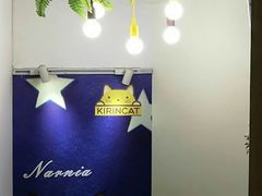 -十年猫舍·猫咪专门店(普陀店)