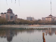 -莲花池公园