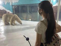 -哈尔滨波塞冬海底世界