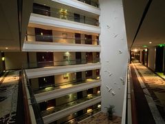 -上海圣淘沙万怡酒店