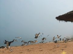 -海驴岛(荣成市)