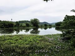 -鸣鹤古镇