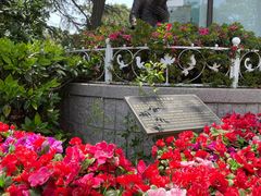 -八大关景区