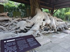 -宁波市保国寺古建筑博物馆