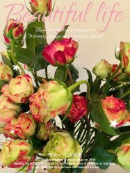 -FUMEIHUI·科技美肤·美体SPA