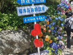 -秦岭天竺山生态文化旅游景区