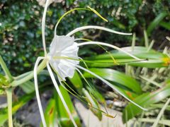 -中国科学院华南植物园