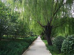 -元大都城垣遗址公园