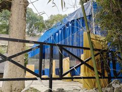 -三江森林温泉度假区