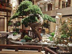 -顺峰(农展馆店)