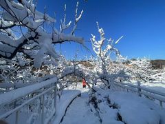 -蓟洲国际滑雪场