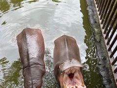 -海南热带野生动植物园