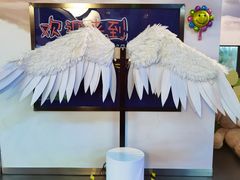 -中国宋庆龄青少年科技文化交流中心