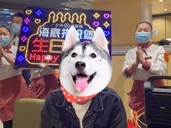 -海底捞火锅(正大乐城店)