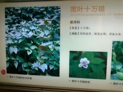 内景-广东省博物馆