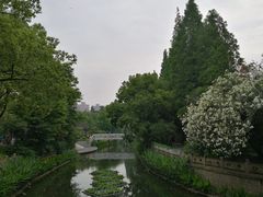 -兰溪青年公园