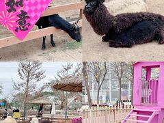 -盈香心动乐园