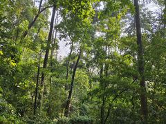 -广州市白云山风景名胜区