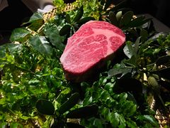 -弗兰克牛排西餐厅Ribone steak house(柠檬花园店)