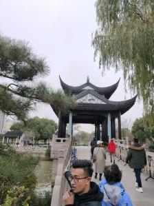 关注 打分 枫桥整洁的石板街道两旁,店铺林立;寒山寺弄口的楓桥书场