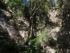 -怀托摩萤火虫洞