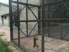 -石家庄市动物园