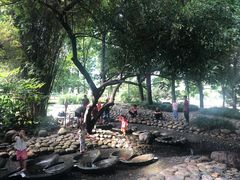 -成都市活水公园