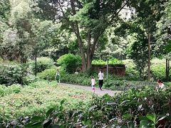 -成都市活水公园