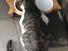 -UNI UNI(环亚凯瑟琳店)