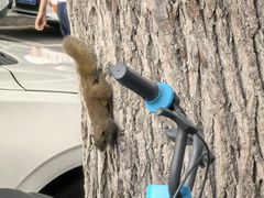 -黑皮酸菜鱼(三山街店)