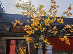 -潭柘寺景区