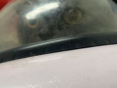 -达爱动物医院·犬猫分区·CT·复杂眼科(远洋山水分院)